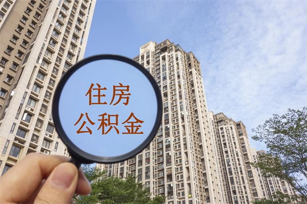 阿里成都离职公积金代办（成都离职公积金代办电话）
